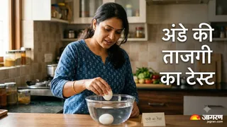 पुराना अंडा पानी में तैरने क्यों लगता है? वजह जानकर रह जाएंगे हैरान (Image Source: AI-Generated)