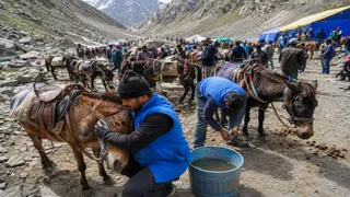अमरनाथ यात्रा में बेजुबानों का भी ख्याल, 'पशु सेवा' से 10 हजार पशुओं को मिल रही मदद। फोटो एआई द्वारा बनाई गई है।