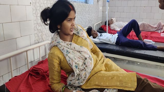 गिरिडीह में जंगली मशरूम खाने से एक ही परिवार के आठ सदस्य बीमार, सदर अस्पताल में चल रहा इलाज 
