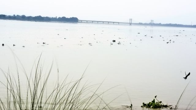 खगड़िया में डराने लगीं नदियां: बागमती के बाद कोसी भी खतरे के निशान के पार, मंडराया बाढ़ का खतरा

