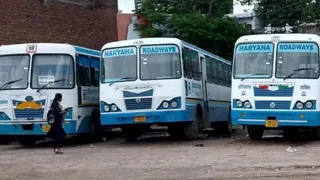 हरियाणा राज्य परिवहन की बसें। (फाइल फोटो)