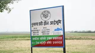 प्रयागराज की नुमाया डाही झील की आर्द्रभूमि पर लगा वन विभाग का बोर्ड। जागरण