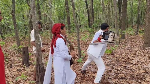 ऋषिकेश में पेड़ कटान पर बवाल: उक्रांद कार्यकर्ता ने तोड़ी आरा मशीन, 13 लोग गिरफ्तार
