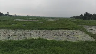 कावर झील। फोटो जागरण