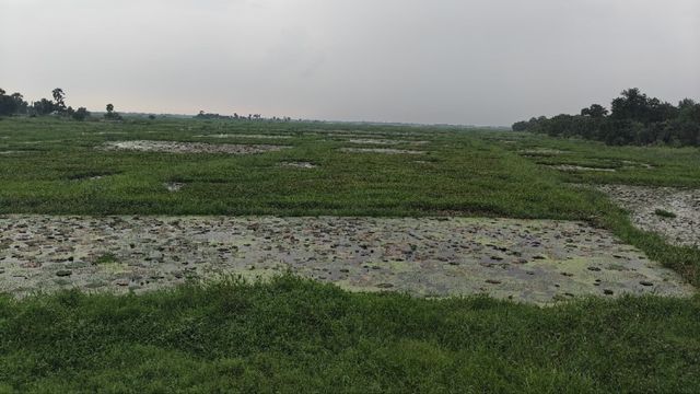 बिहार की पहली रामसर साइट की दुर्दशा पर NGT सख्त, सरकार समेत 9 संस्थाओं को नोटिस जारी

