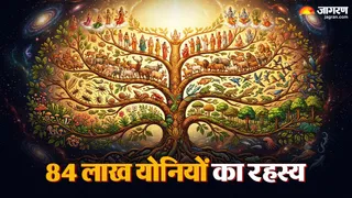 84 लाख योनियों का रहस्य क्या है? (Picture Credits- AI Image)
