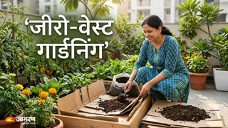 कार्डबोर्ड की मदद से करें स्मार्ट गार्डनिंग (Image Source: AI-Generated)