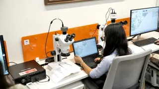 लैब में रिपोर्ट की जांच करते हुए। जागरण