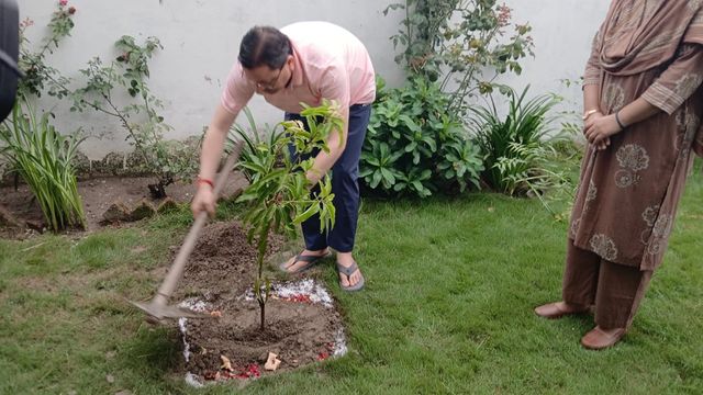 हरेला पर्व पर सीएम धामी ने रोपा पौधा, कहा- पर्यावरण संरक्षण हम सबकी जिम्मेदारी