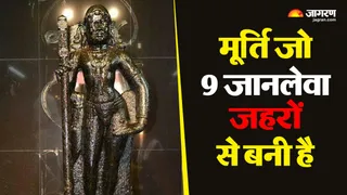 9 विषैले पदार्थ से बनी पलानी मुरुगन की मूर्ति