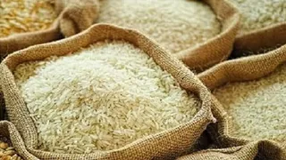 मध्य प्रदेश के बासमती GI टैग पर मचा घमासान (फाइल फोटो)
