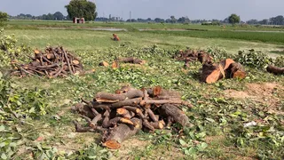 प्रतीकात्मक चित्र
