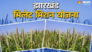 तीन हजार से 15 हजार रुपये तक मिलेगी प्रोत्साहन राशि।