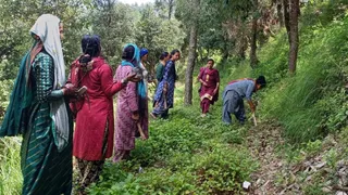 नगर निगम की ओर से स्कूलों और आंगनबाड़ियों में लगाए जाएंगे सहजन के पौधे