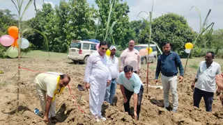 ढरहा में अर्धसालिन गन्ना की रोपाई की शुरुआत करते अधिकारी। जागरण