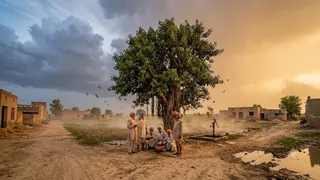 ये AI जनरेटेड इमेज है।