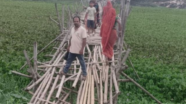 बांस की चचरी पर जिंदगी का सफर... दरभंगा के रैहपुरा में हर कदम पर मौत का खतरा
