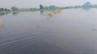 खेतों में घुसा अरिंद नदी का पानी।