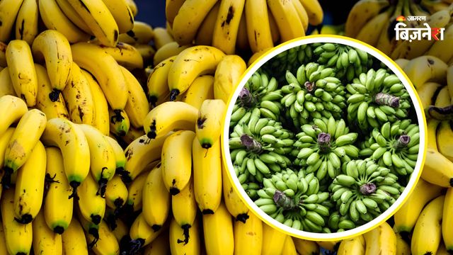 https://www.jagranimages.com/images/2026/07/17/article/image/banana-1784293570713.jpg