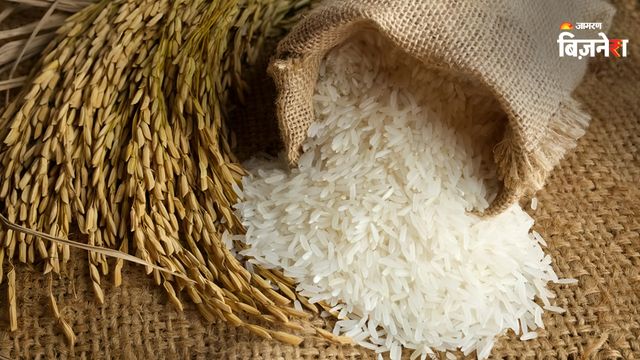 https://www.jagranimages.com/images/2026/07/17/article/image/rice-pic-1784276284807.jpg