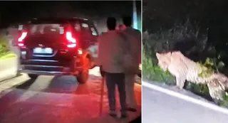 गुरुवार की रात में जंगल किनारे सड़क पर भ्रमण करती वन विभाग की टीम। फोटो इंटरनेट मीडिया
