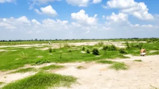 गुन्नौर तहसील में दिल्लीपुर सुखेला की इसी भूमि पर हुआ फर्जी कृषि भूमि आवंटन। जागरण आर्काइव