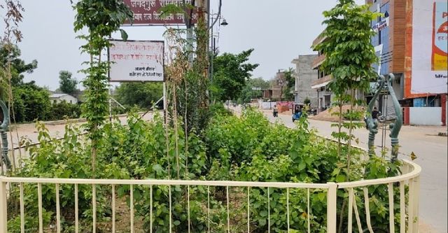 चित्रकूट में पर्यावरण बचाने को DM की अनोखी पहल, दो साल तक पौधे सूखे तो रुकेगा कार्यदायी संस्था का भुगतान