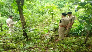 जंगल में मिले शव की जांच करती पुलिस। (प्रतीकात्मक फोटो)