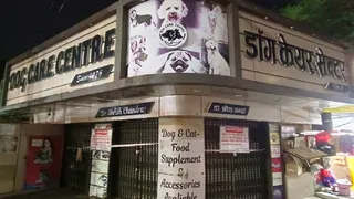 प्रयागराज के इंडियन प्रेस चौराहा स्थित इसी डॉग केयर सेंटर को पीडीए ने सील किया। जागरण