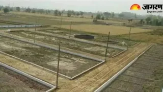 सांकेतिक तस्वीर।