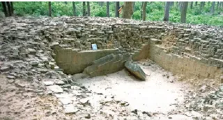 चौक जंगल में उत्खनन कराने के लिए चयनित कन्हैया बाबा का स्थान। जागरण