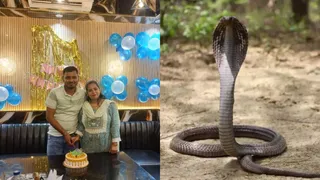 अतुल और दामिनी