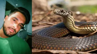 राजा।