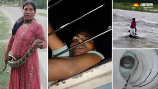 बिहार में इस सप्ताह चर्चा में रहे कई वीडियो।