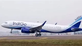 सांकेतिक तस्वीर।