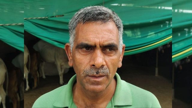  नौकरी नहीं, डेयरी को बनाया इनकम का जरिया; हर महीने ₹1.5 लाख कमा रहे महेंद्रगढ़ के ओमवीर

