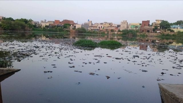 बागपत के 20 तालाबों का होगा कायाकल्प, छह करोड़ का प्रस्ताव मंजूर होने पर हजारों लोगों को होगा लाभ

