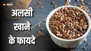 रोज अलसी खाने के फायदे (Picture Courtesy: Freepik)