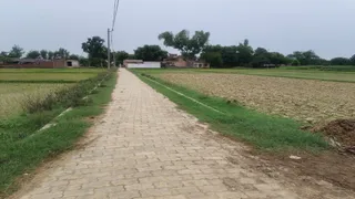 कौशांबी के चायल विधानसभा क्षेत्र में विधायक निधि से बनी इंटरलाकिंग रोड। सौजन्य : प्रतिनिधि