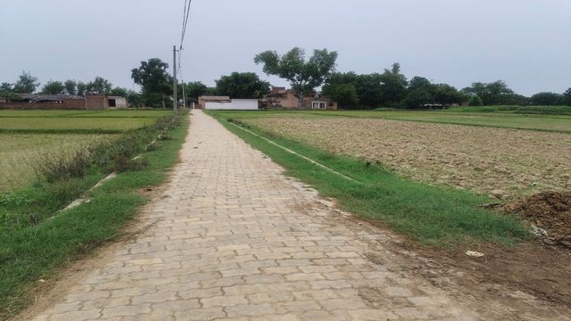 कौशांबी का चायल विधानसभा : विकास की राह पर अग्रसर पर मंजिल अभी बहुत दूर; क्या कहता है विधायक का रिपोर्ट कार्ड?