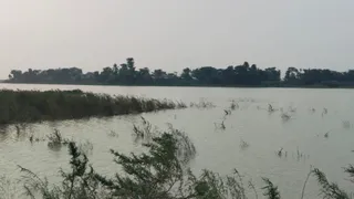 कोसी नदी दिखाने लगी रौद्र रूप, कई नए इलाकों में घुसा बाढ़ का पानी