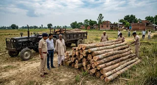 एआई द्वारा जेनरेट इमेज।