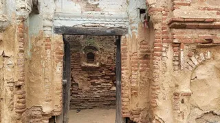 पोते ने दादी कुी कुल्हाड़ी से काटकर हत्या कर दी।
