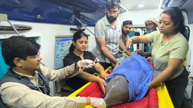 महराजगंज में कड़ी मशक्कत के बाद गंगा डॉल्फिन का सफल रेस्क्यू, राप्ती नदी में छोड़ी गई
