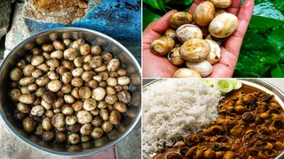 झारखंड को 'सफेद सोना'। जागरण