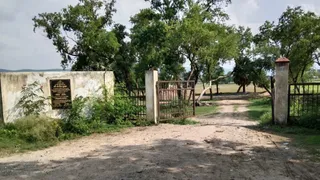 फिल्म सिटी की जमीन। फोटो जागरण