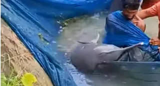 फोटो- वीडियो ग्रैब