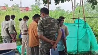 झाड़ियों में मिला शव