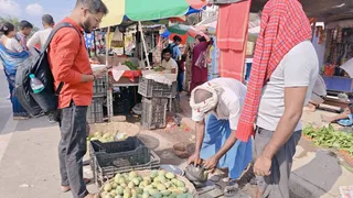 लखीसराय में खो रही 'बीजू आम' की मिठास: शहरीकरण और कंक्रीट से उजड़े मशहूर बगीचे, 900 हेक्टेयर में सिमटी खेती
