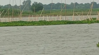 गंडक के पानी में डूबा चचरी पुल। सौजन्य- ग्रामीण